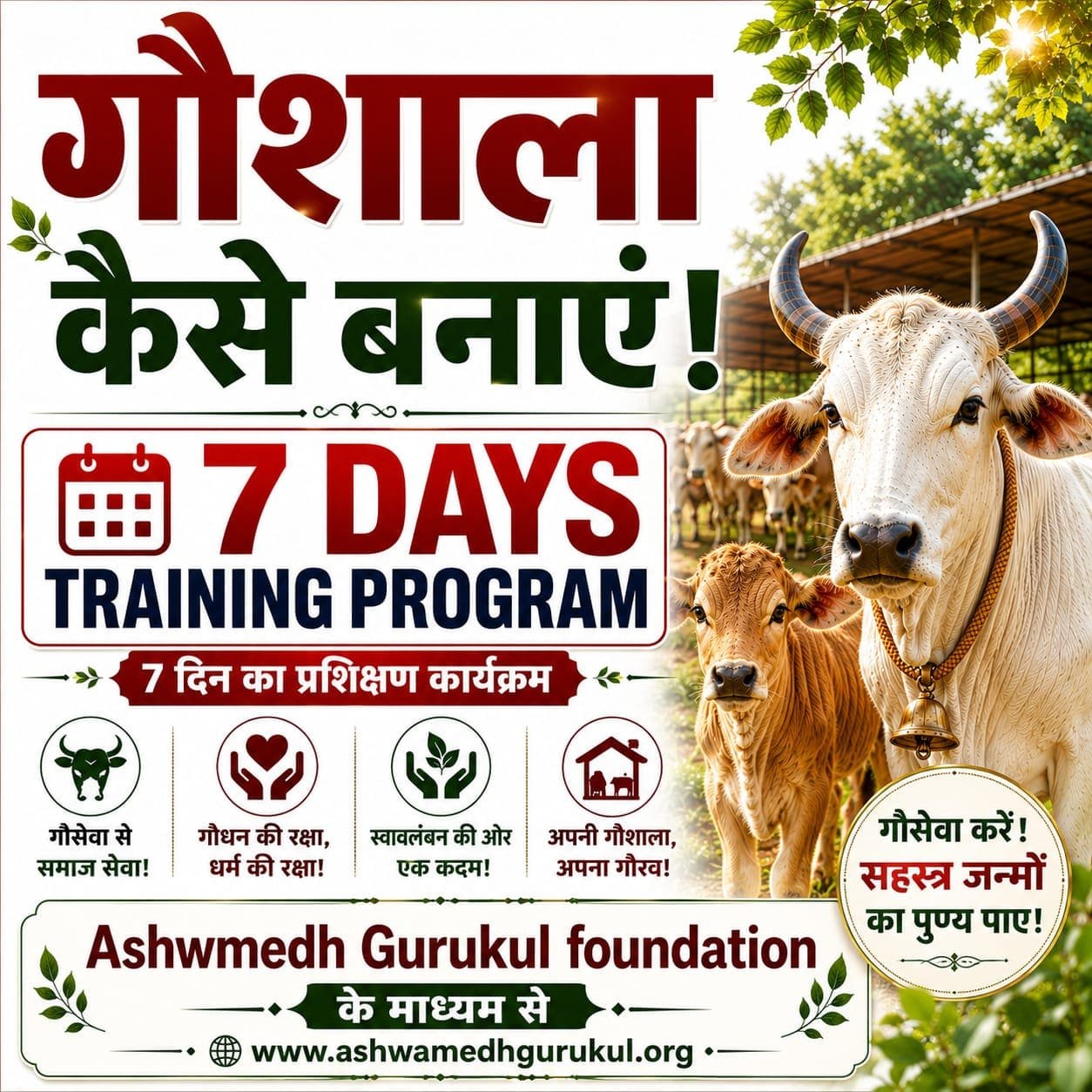 whatsapp image 2026 08 22 at 3.56.40 pm